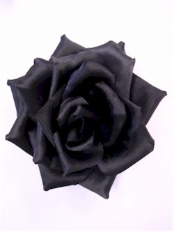 blackrose.jpeg